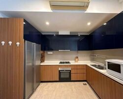 Holland Link (D10), Terrace #585251731
